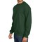 Gildan Softstyle Crewneck Sweatshirt, 80/20 Cotton Blend, Print-Ready Fleece
